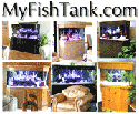 MyFishTank acrylic aquariums and quality aquarium furniture
