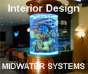 Custom Aquarium Interior Design Installation Service