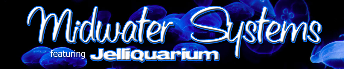 Jelliquarium jellyfish display tanks Midwater Systems medusa polyp ephyra tank